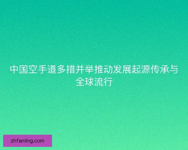 中国空手道多措并举推动发展起源传承与全球流行